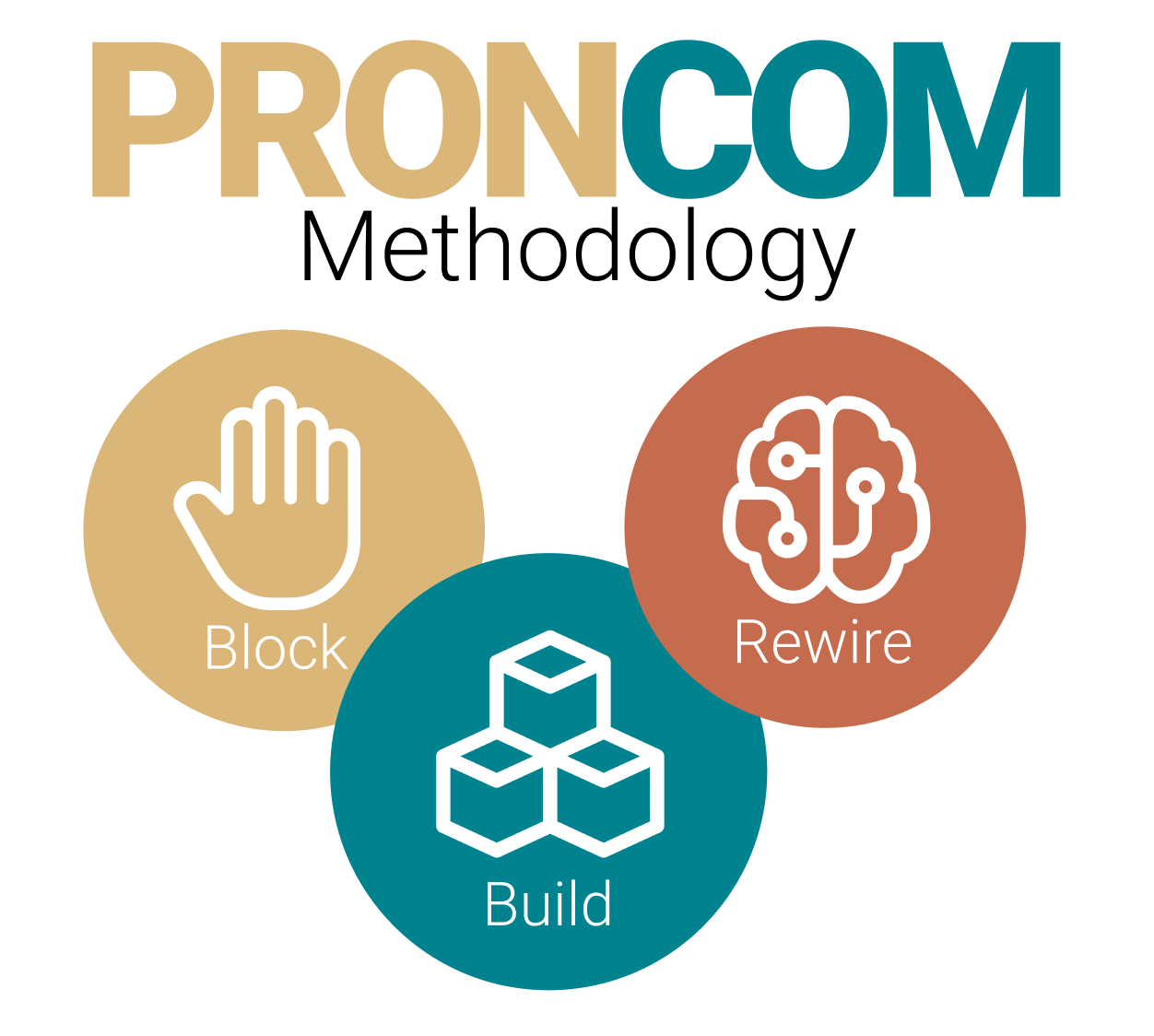 PRONCOM - Pronunciation & Communication Course
